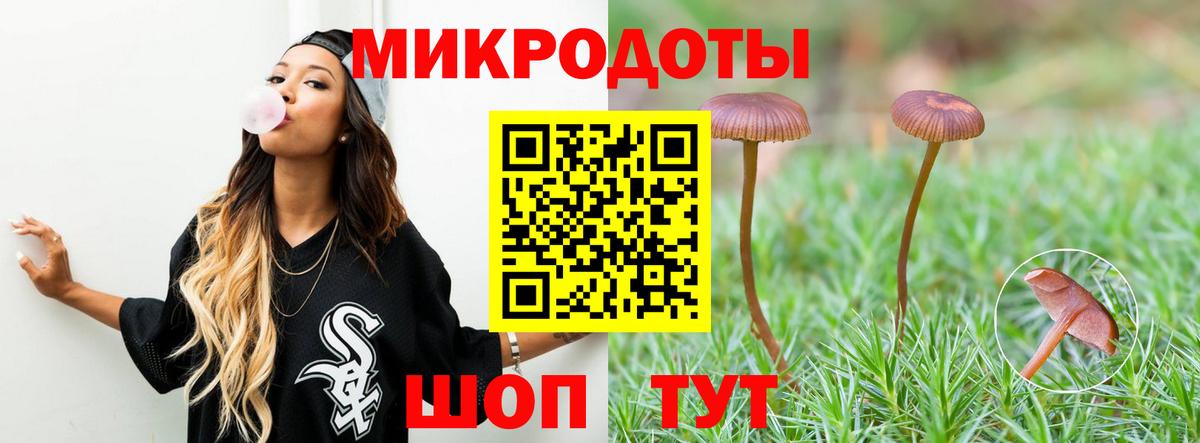 Псилоцибиновые грибы Psilocybine cubensis  Вход с VPN  Псилоцибиновые грибы мухоморы  хочу наркоту  Елабуга 